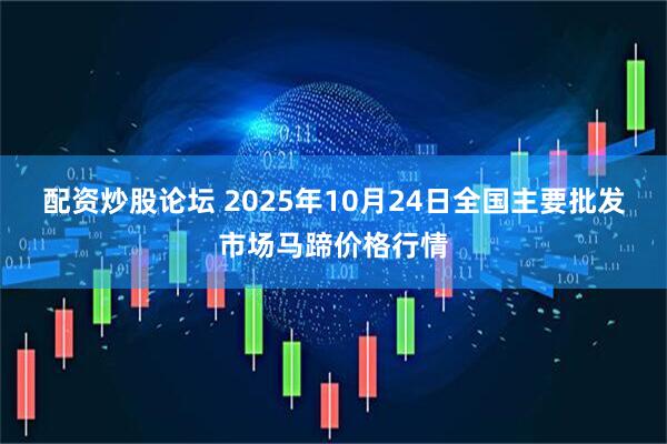 配资炒股论坛 2025年10月24日全国主要批发市场马蹄价格行情