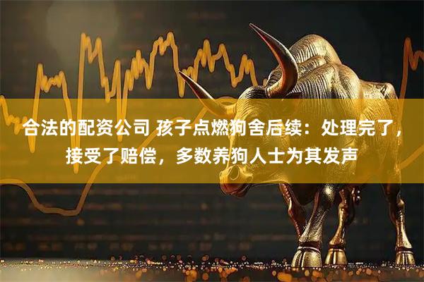 合法的配资公司 孩子点燃狗舍后续：处理完了，接受了赔偿，多数养狗人士为其发声